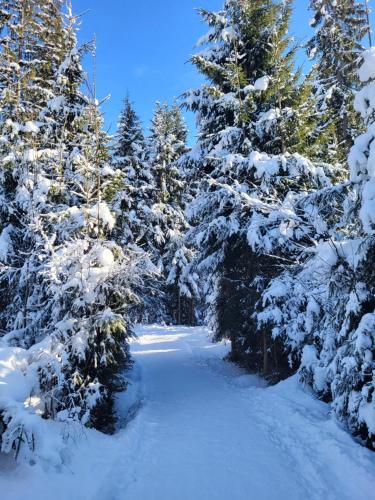 Pension Lärchenbrunn in Westendorf