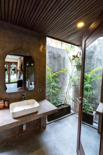 The Farm Canggu Party Hostel – Canggu, CO