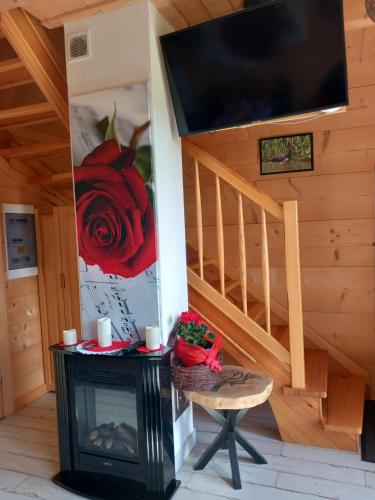 Koplietošanas atpūtas telpa ar TV, Domki Zielone Skałki (Domki Zielone Skalki) in Falsztyn