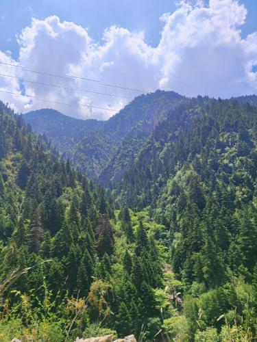 A környék, Heart of Proussos in Megalo Chorio