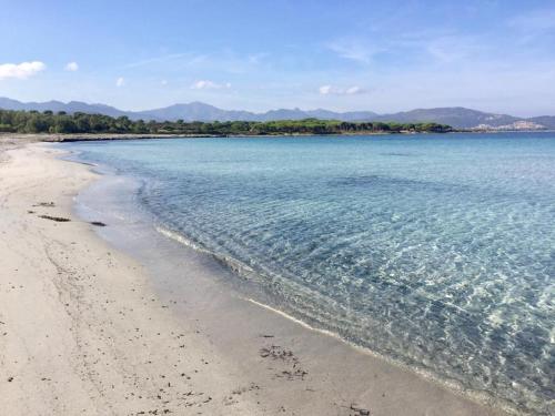 La Playa apartment- Fronte Spiaggia