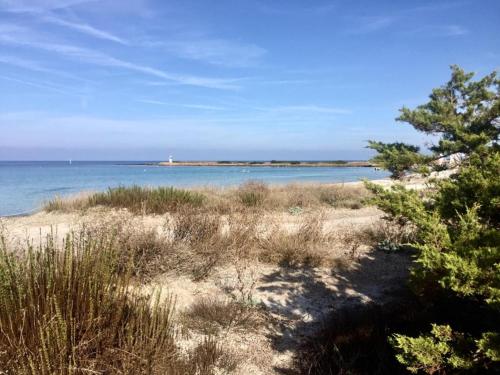 La Playa apartment- Fronte Spiaggia