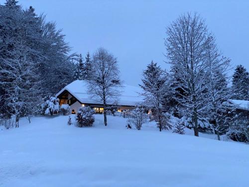 Amadeus Black Forest Mountain 1.2km von Im Kaltwasser entfernt
