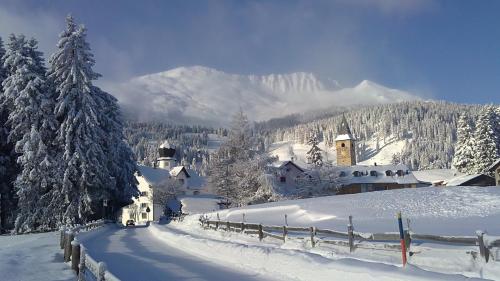 Hotel Alpina Parpan