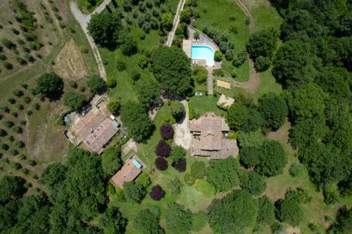 Amore Rentals - Casale della Toscana