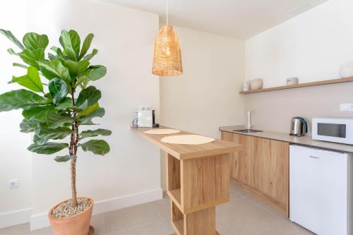 Standard Double Suite image 2