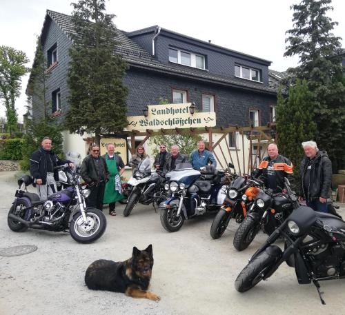 Ferienwohnung - Landhotel Waldschlößchen