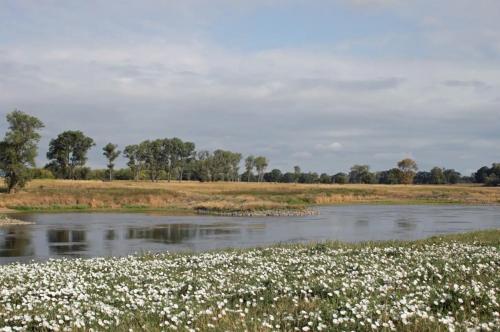 A környék, Ruhiges, sehr schönes Haus/Grundstück in Elbnähe. (Ruhiges, sehr schones Haus/Grundstuck in Elbnahe.) in Arzberg