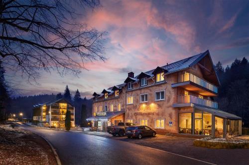 Hotel Ladenmühle - Kurort Altenberg