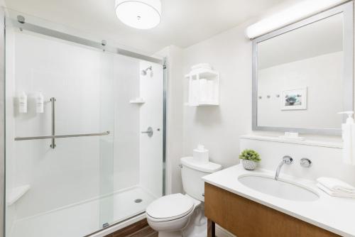Hampton Inn Long Island/Islandia - image 11
