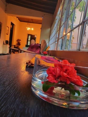 Lobby, Casa Vidal Guesthouse in Tupungato