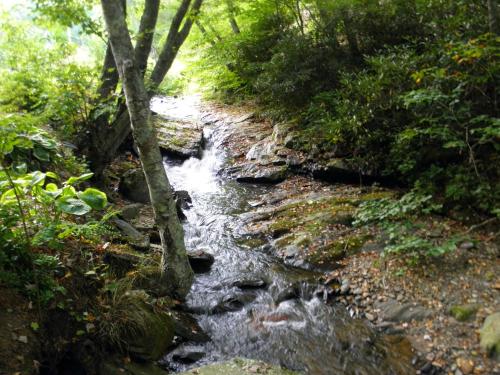 Roaring Creek detail
