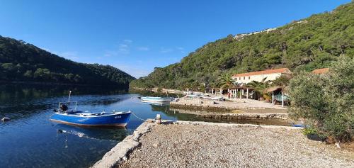 Apartmani Pjevalo-Mljet