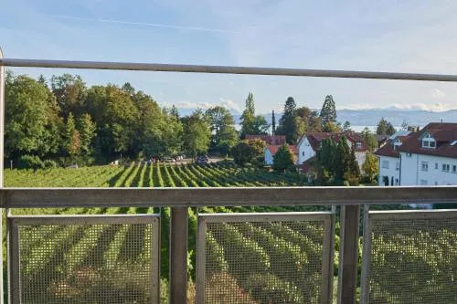 Ferienwohnungen Weingut Deufel in Lindau, Deutschland