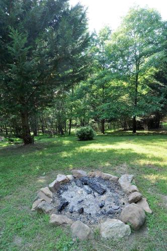 Cacapon Connected - image 10