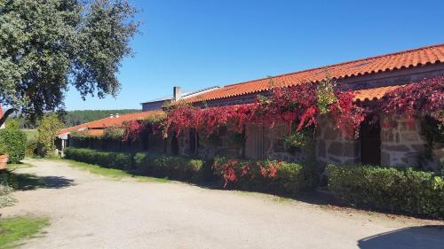 4QUINTAS gîte à louer Maçal do Chão