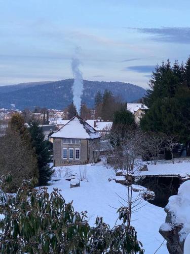 Villa sans soucis - Location, gîte - Gérardmer