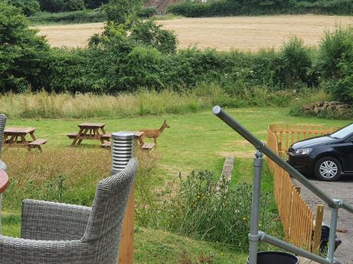 The Carpenters Arms - image 3