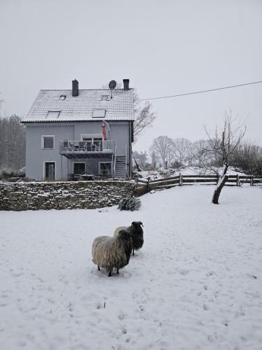 Souterrainwohnung im Grünen