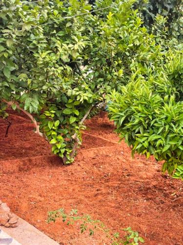 Elhachimi Host House garage included FREE air conditioning Elhachimi Host House garage included FREE air conditioning