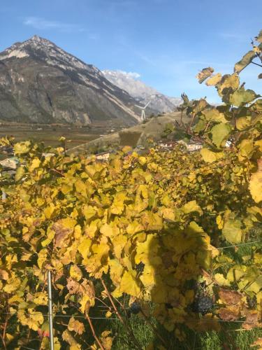 Fasilitas, Studio Martigny Taoù (Studio Martigny Taou) in Martigny