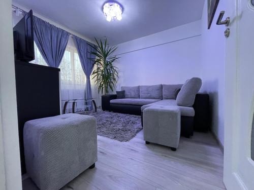 Traveler’s Luxury Home - Apartment - Suceava