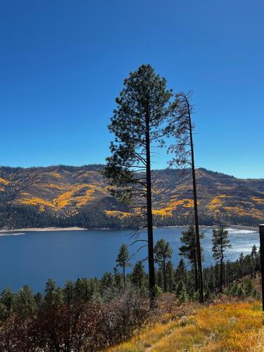 Bear Paw Lodge & Vacation Homes in Vallecito, USA