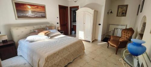 Le rondinelle in Castelnuovo Parano