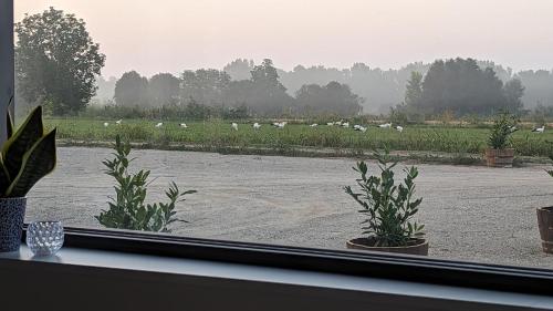 MASIA CLOTATS MASIA CLOTATS