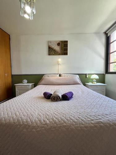 Departamento en Mendoza parque central -Mijo-