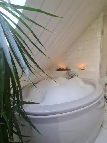 Seadmed, Ferienwohnung EnergiePunkt am Planitzwald in Bennewitz