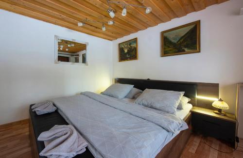 Vila Astra - image 9