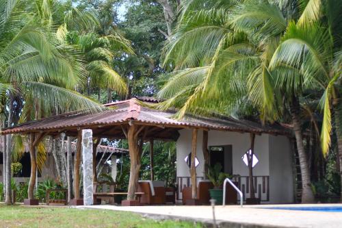 Tarcoles Birding Lodge in Tarcoles