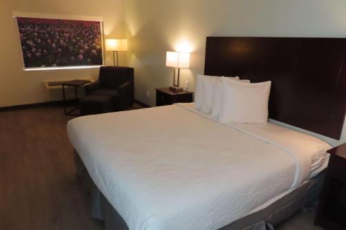 King Room with Walk-In Shower - Disability Access/Non-Smoking