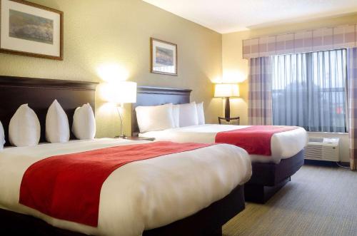 Queen Room with Two Queen Beds