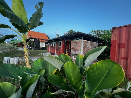 Garden, OYO Home 90495 Homestay Kampung Kota Aur in Penaga