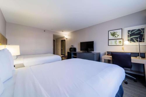 Quadruple Room with Two Queen Beds - Non Smoking