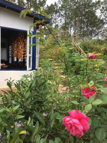 Family house - stay on pine hill Dalat