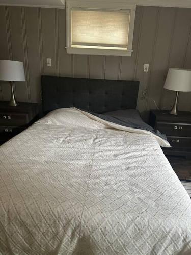 Roomy Oasis DC area pet friendly