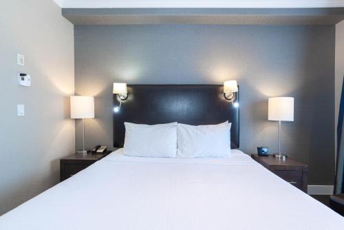 Standard Suite, 1 King Bed, Kitchen, Washer Dryer image 3