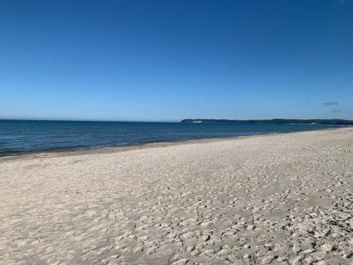 Seeschwalbe mit Meerblick - image 5