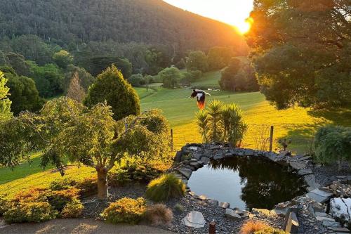 Warburton Valley & Golf Club View - Accommodation - Warburton