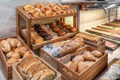 Catalonia Goya - image 12