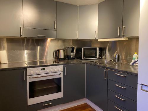 One-Bedroom Apartment image 3