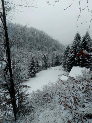 Vikendica Tuzla, Dolina mira