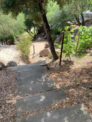 A Vadina - image 12