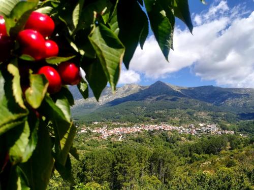 La Albarea by #cherrygredos