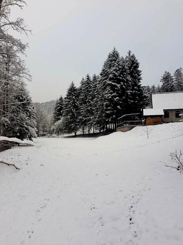 Vikendica Tuzla, Dolina mira