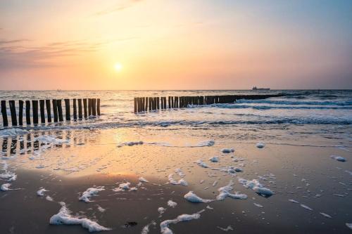 สภาพแวดล้อมโดยรอบ, Schorrebloem 13* in นิวฟลิต