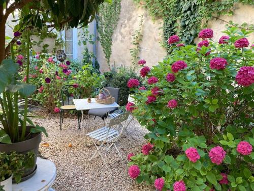 Appartement dans un immeuble historique avec cour - Location saisonnière - Orange